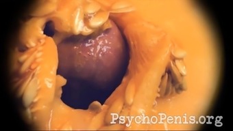 Defloration. PsychoPenis busts her melon