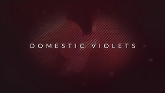 Domestic Violets