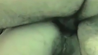 Pide Anal Por Web Cam