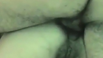 Pide Anal Por Web Cam