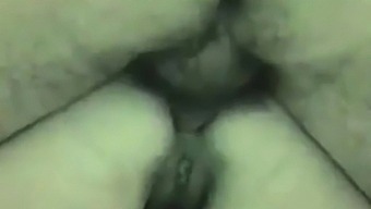 Pide Anal Por Web Cam