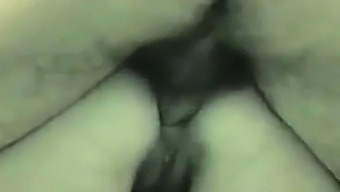 Pide Anal Por Web Cam