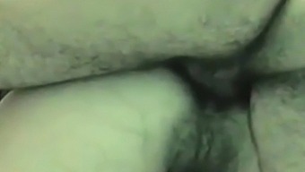 Pide Anal Por Web Cam