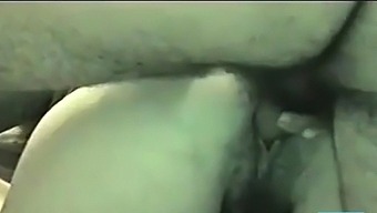 Pide Anal Por Web Cam